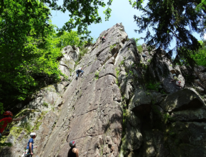 DSC02771_small