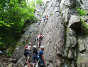DSC02790_small