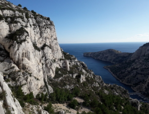 Calanques 2019 (26)