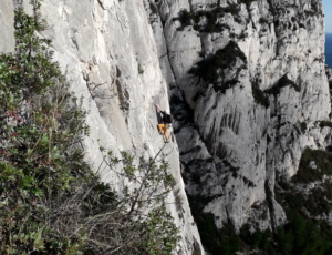 Calanques 2019 (29)