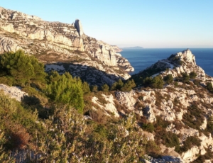 Calanques 2019 (57)