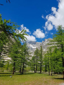 Sortie Aspala au massif des Ecrins (juin 2021)