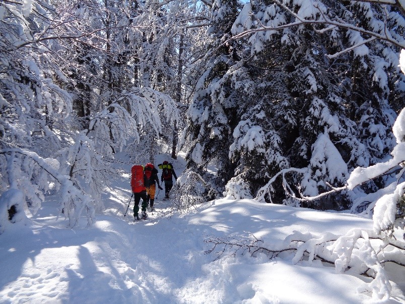 Stage Randonnée Raquette en Vercors – Autonomie & bivouac (11-13 Février)