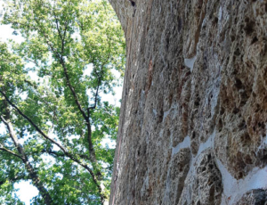 Aspala Escalade - Viaduc des fauvettes